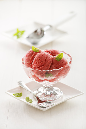 Fresh fruit sorbet ice cream in a glassの写真素材