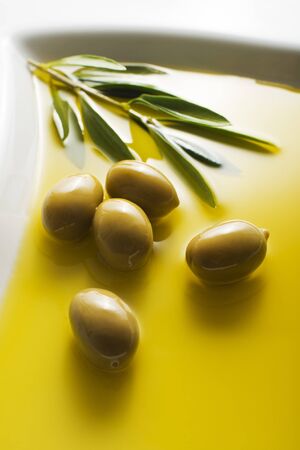 Olive oil and green olive branch in plateの写真素材
