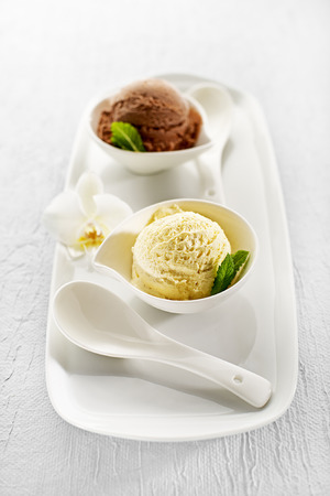 Fresh ice cream in a white bowl close upの写真素材