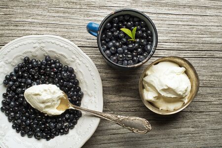 Forest blueberries with sweet cream served on plateの写真素材