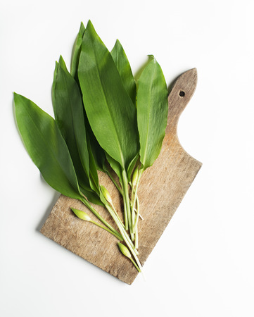 Wild garlic leafs on white background overhead shootの写真素材