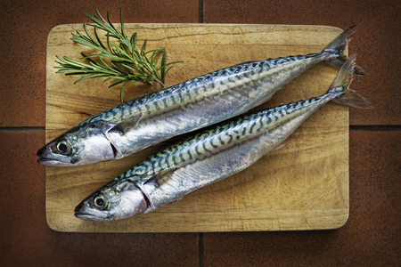 Fresh mackerel fish on wooden board with herbsの写真素材