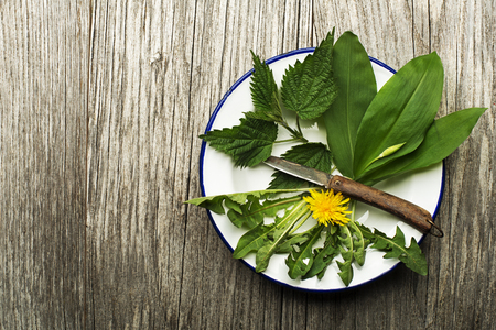 Spring food nettle dandelion wild garlic on wooden backgroundの写真素材