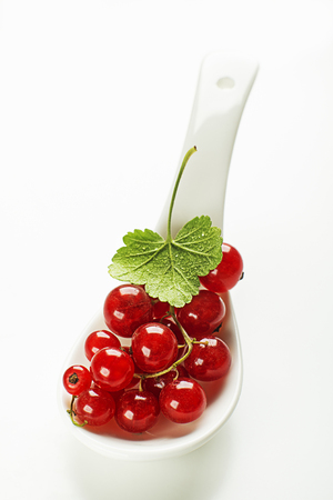 Fresh red currant berries with leaf on white  close upの写真素材