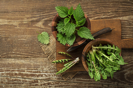 Spring healthy food. Nettle and dandelion leaves on wooden backgroundの写真素材