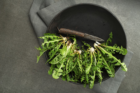 Fresh dandelion leaves overhead shoot. Healthy natural organic food concept - Imageの写真素材