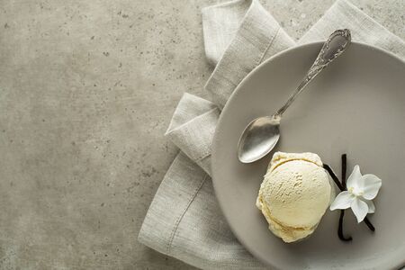 Homemade Organic Vanilla Ice Cream scoop in a plate close upの写真素材