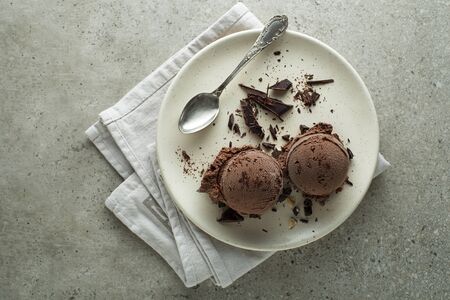 Homemade Organic chocolate Ice Cream scoops in a plate close upの写真素材