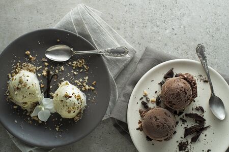 Homemade Organic chocolate and vanilla Ice Cream in a plate close upの写真素材
