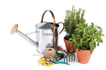 Gardening tools and spices plants isolated on whiteの写真素材