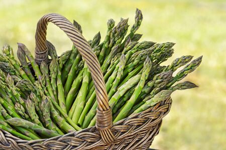 Asparagus. Fresh Asparagus. Pickled Green Asparagus. Bunches of green asparagus in basket, top view- Imageの写真素材