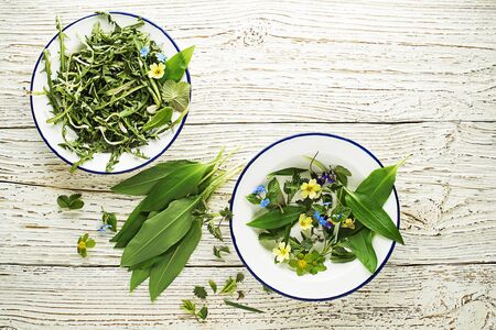 Healthy spring food ingredients. Dandelion, flowers, wild garlic and nettle on wooden backgroundの写真素材