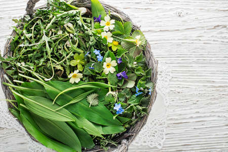 Healthy spring food ingredients. Dandelion, wild garlic and nettle in basketの写真素材