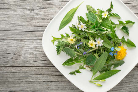 Healthy spring plants for food ingredients. Dandelion, wild garlic, flowers and nettle backgroundの写真素材