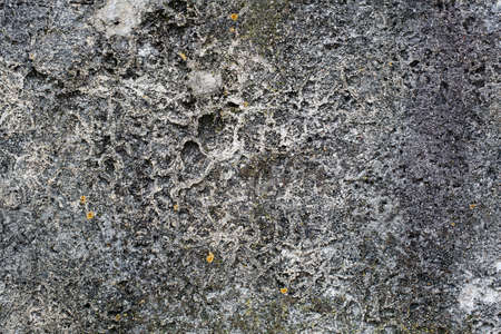 Abstract grunge decorative grey wall background. Texture background with space for textの写真素材