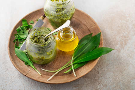 Making Fresh ramson or wild garlic pesto. Healthy spring food conceptの写真素材