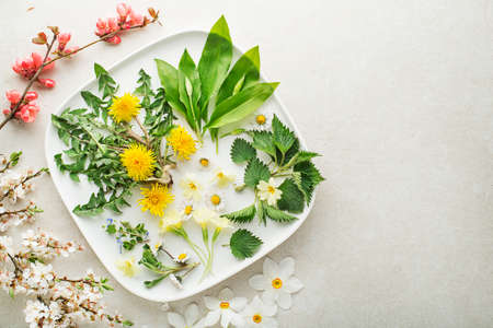 Wild garlic, nettle, dandelion, ground and other medicinal herbs and wild edible plants growing in early spring. Spring background with blossom, flowers and herb plantsの写真素材