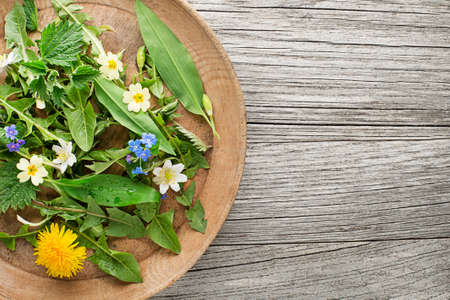 Healthy spring food ingredients. Dandelion, wild garlic and nettle in plateの写真素材