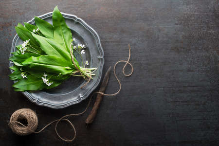 Bunch of fresh Wild garlic leaves on grey table closeup