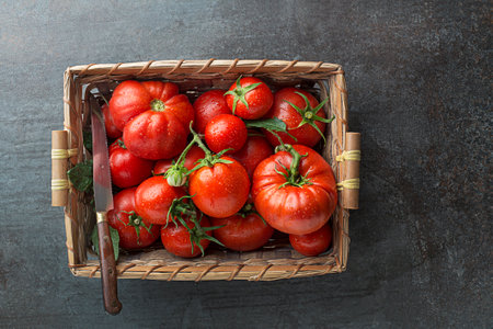 Fresh tomatoes in basket on dark background. Harvesting tomatoes. Top viewの写真素材