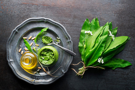 Making Fresh ramson or wild garlic pesto. Healthy spring food conceptの写真素材