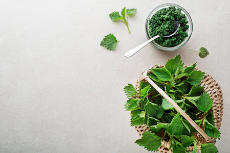 Nettle pesto for cooking healthy meal on grey background. Spring healthy foodの写真素材