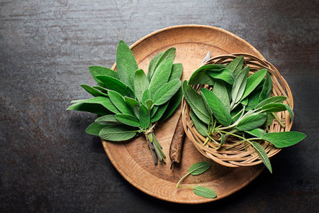 Sage leaves in plate. Freshly picked sage leaves from the home garden. Medicinal herbs.の写真素材