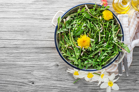 Fresh dandelion salad with dressing. Healthy spring food conceptの写真素材