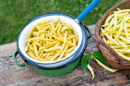 Freshly plucked and cooked yellow string beans. Ingredient for cooking Healthy dishesの写真素材