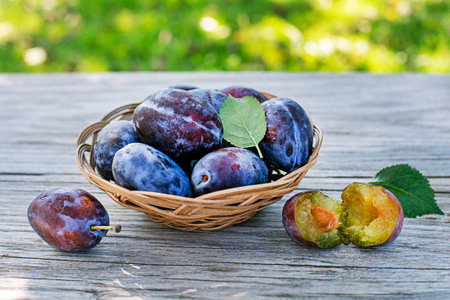 Basket of fresh ripe plums on a wooden background outdoors on sunny day.の写真素材