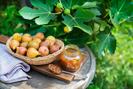Glass jar with tasty sweet jam with fresh figs growing on the branch fig tree in organic home orchard.の写真素材
