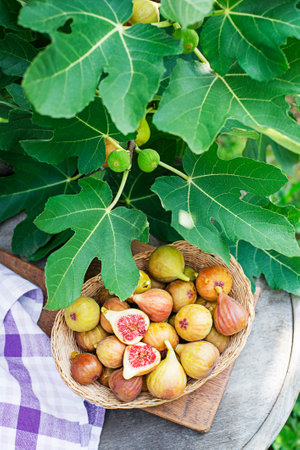 Ripe figs in a wicker basket on a wooden tableの写真素材