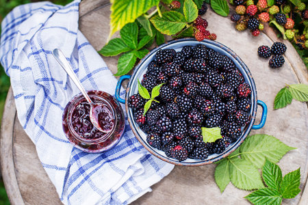 Fresh homemade blackberry jam. Sweet homemade blackberry jam in small glass jar, against the background of a bush of blackberriesの写真素材