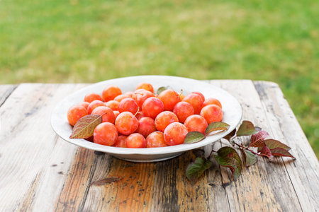 Plate of fresh ripe plums on a wooden background outdoors on sunny day.の写真素材