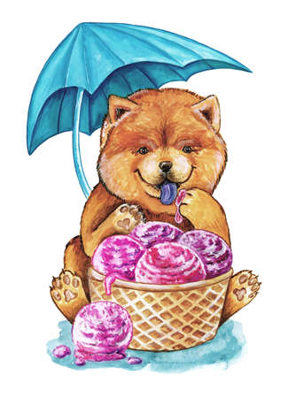 Puppy chow chow eats ice creamの写真素材