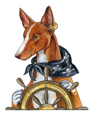 Pirate. A dog at the helm of a shipの写真素材