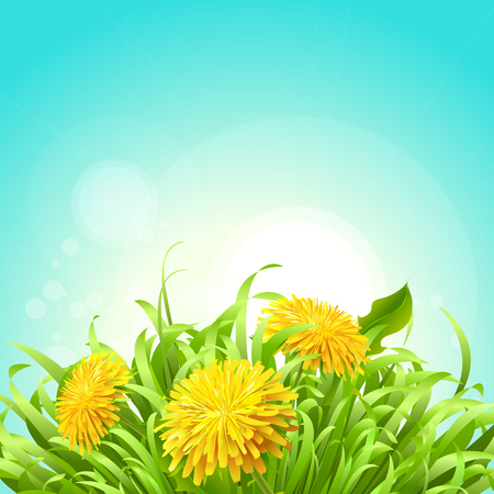 Vector illustration of a spring background with dandelionsのイラスト素材