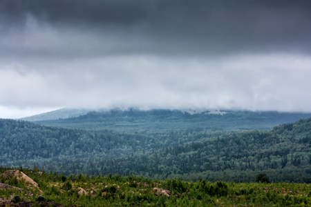 Low clouds in a mountain forestの写真素材