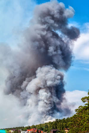 Large forest fire near the villageの写真素材