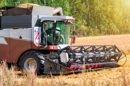 Modern combine harvester working in the field