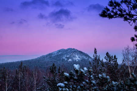 Snowy coniferous forest and mountain in the evening winter light