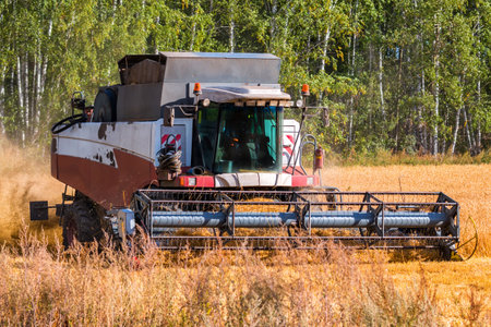 Modern combine harvester working in the field on a clear sunny dayの写真素材