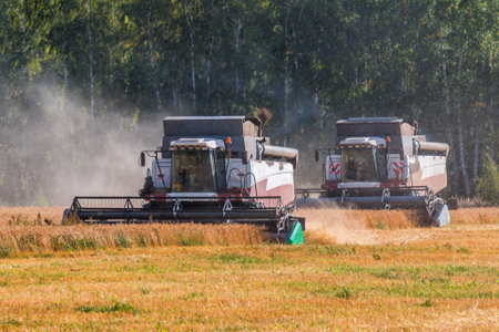 Modern combine harvesters working in the fieldの写真素材