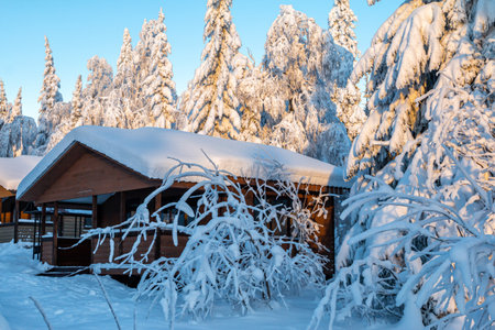 Wooden houses in a scenic winter forestの写真素材