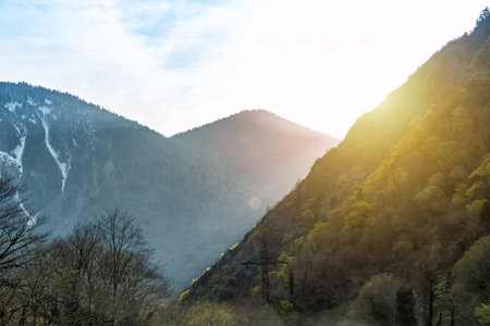 Picturesque mountain valley in evening sunlight
