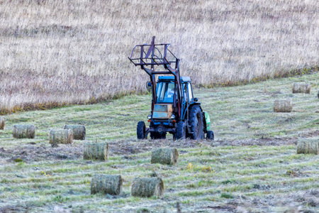 agricultural wheeled tractor collecting hay bales in a field