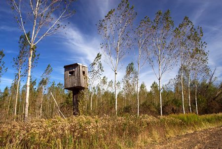 Still hunt in the woodの写真素材