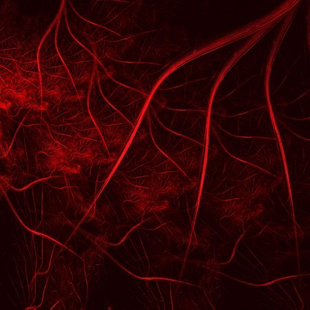 Fractal abstract - blood circulationの写真素材
