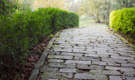 Garden way. Shallow depth of field.の写真素材