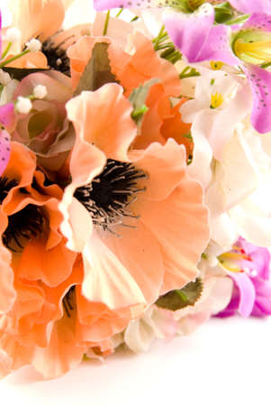 Posy isolated on white backgroundの写真素材